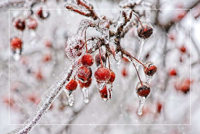 Heating System Repair Ice Cold