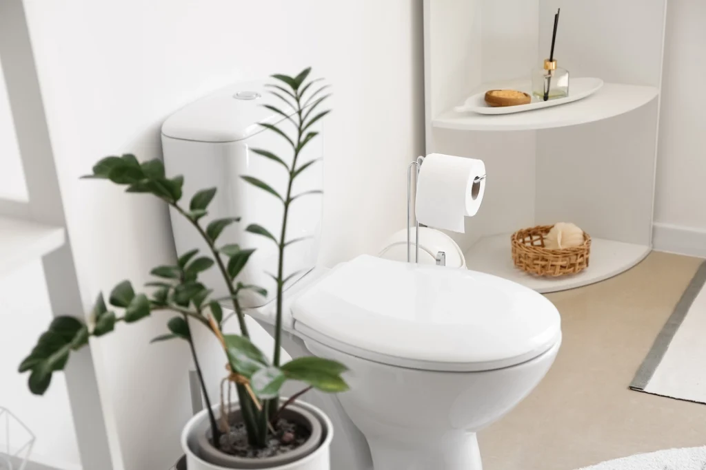 A toilet next to a plant